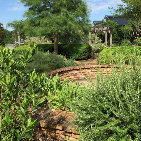 Beaumont Botanical Gardens 